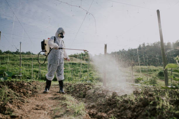 Best Pest Prevention Services  in Freedom, PA