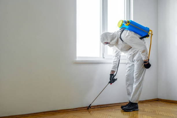 Best Residential Pest Control  in Freedom, PA